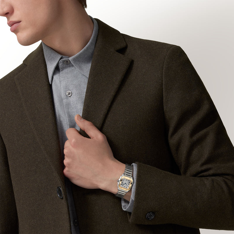 Cartier Santos -  36mm