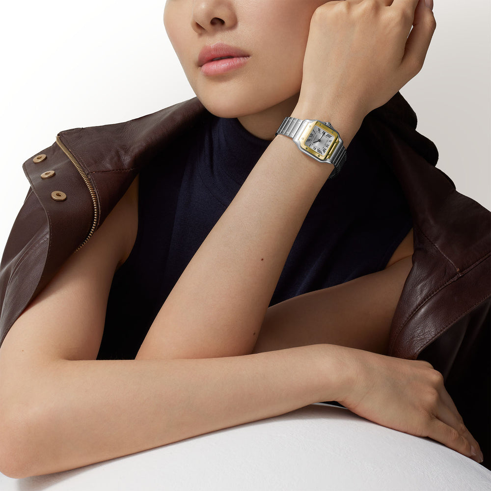 Cartier Santos -  36mm