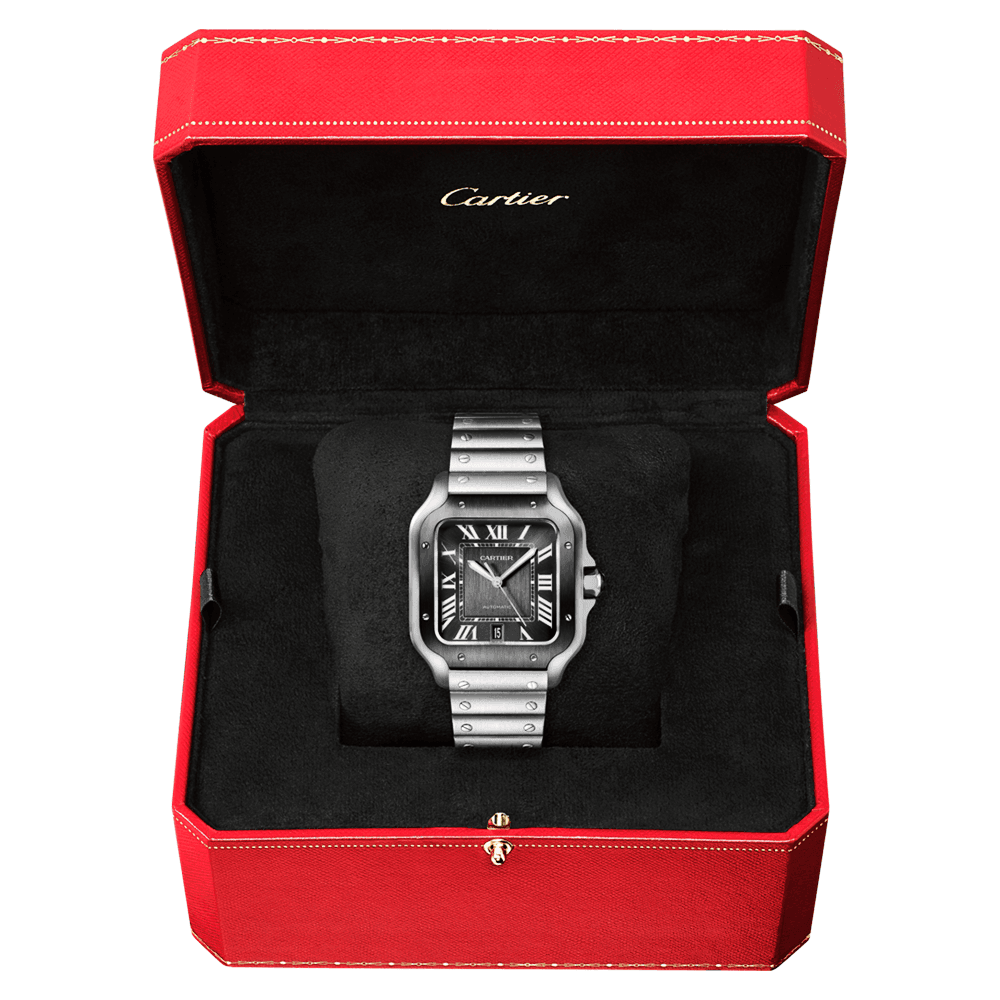 Cartier Santos WSSA0037